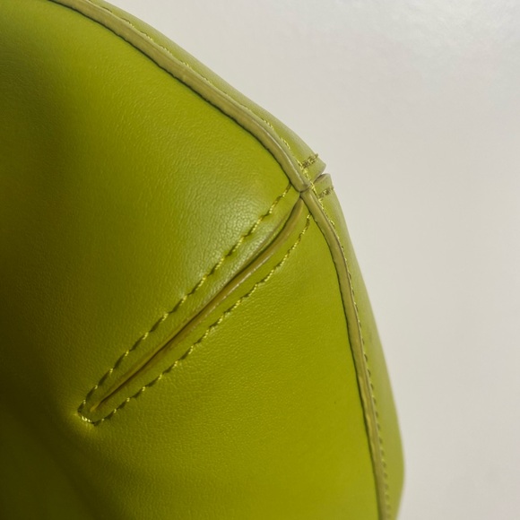 Everlane Cactus Leather Hobo Bag - Picture 11 of 13
